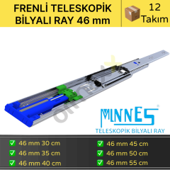 Minnes Frenli Teleskopik Ray 46*300 mm 12'li Koli