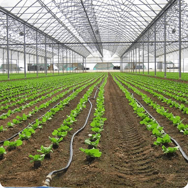 Sera <br>Malzemeleri