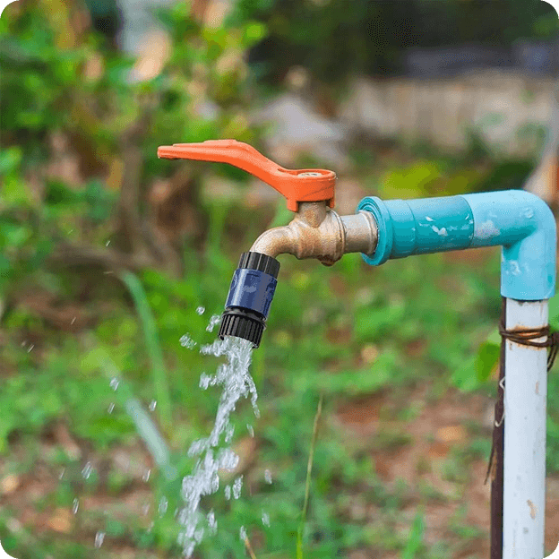 Yeni Ürün<br> Çeşitleri